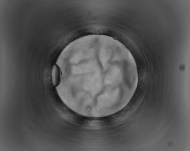 X0000100780268200807171450
