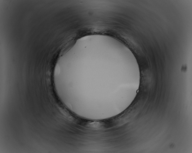 X0000100780269200807171450