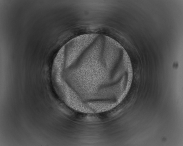 X0000100780270200807171450
