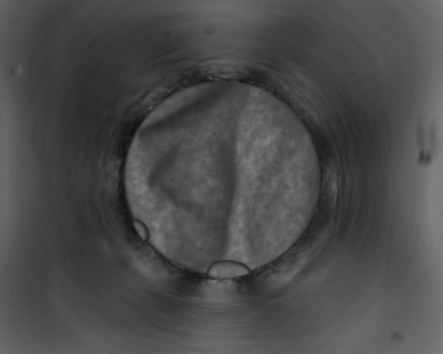 X0000100780271200807171450