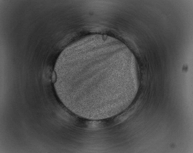 X0000100780273200807171450