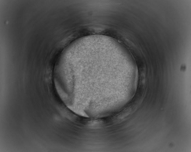 X0000100780274200807171450