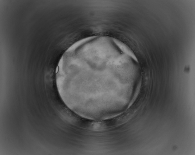 X0000100780275200807171450