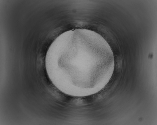 X0000100780276200807171450