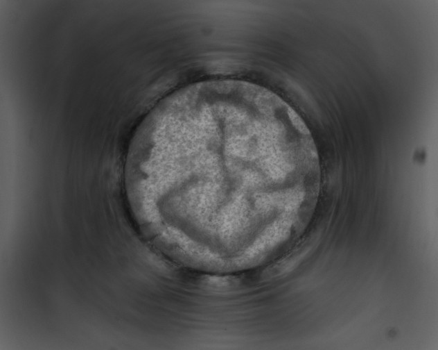 X0000100780277200807171450