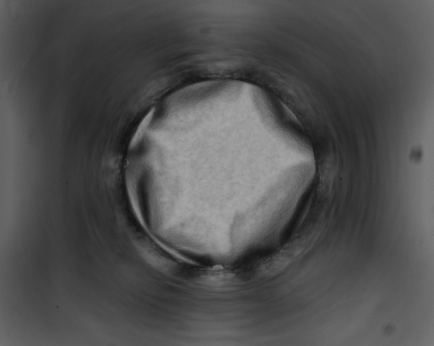 X0000100780278200807171450