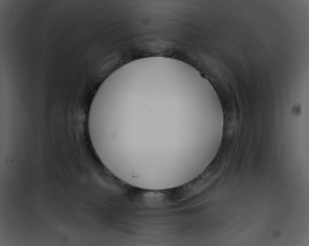 X0000100780279200807171450