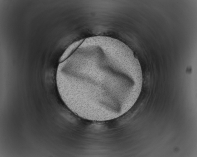 X0000100780280200807171450