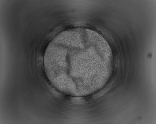 X0000100780281200807171450
