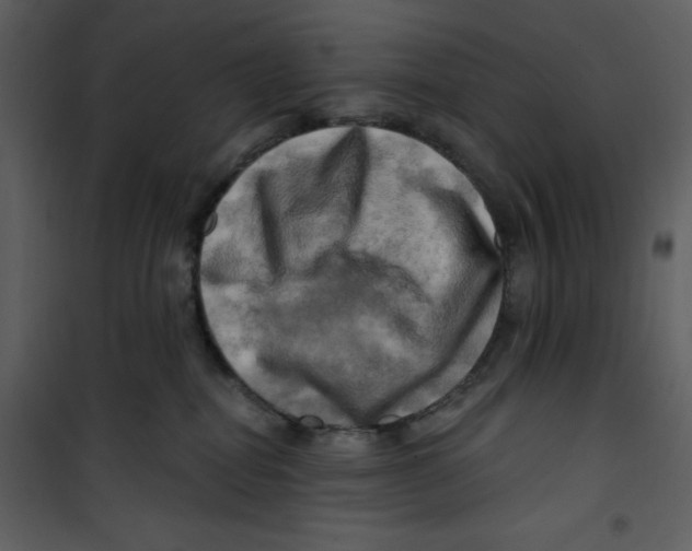 X0000100780282200807171450