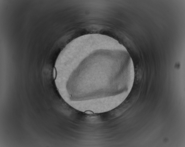 X0000100780283200807171450