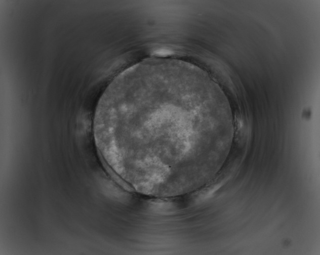 X0000100780284200807171450