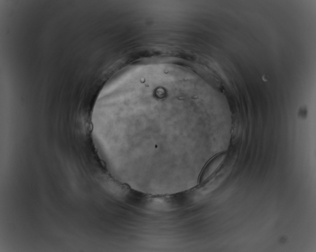 X0000100780285200807171450