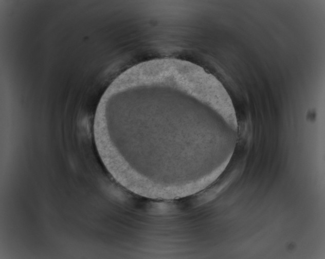 X0000100780286200807171450
