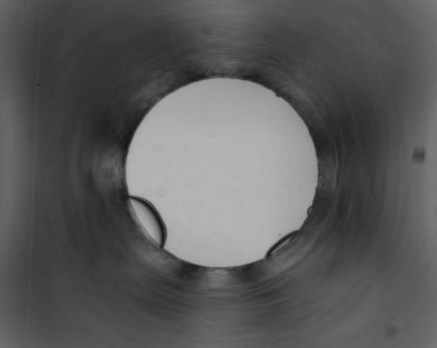 X0000100780287200807171450