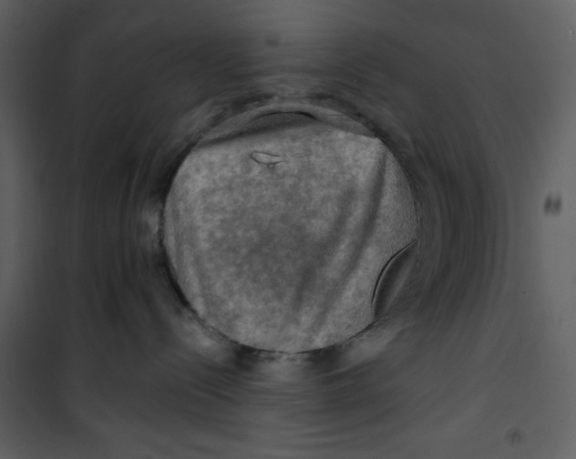 X0000100780288200807171450