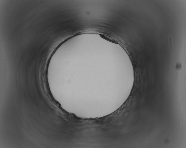 X0000100780289200807171449