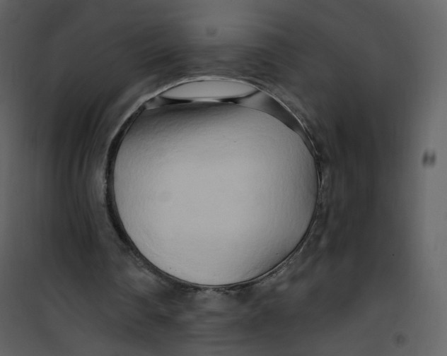 X0000100780290200807171449