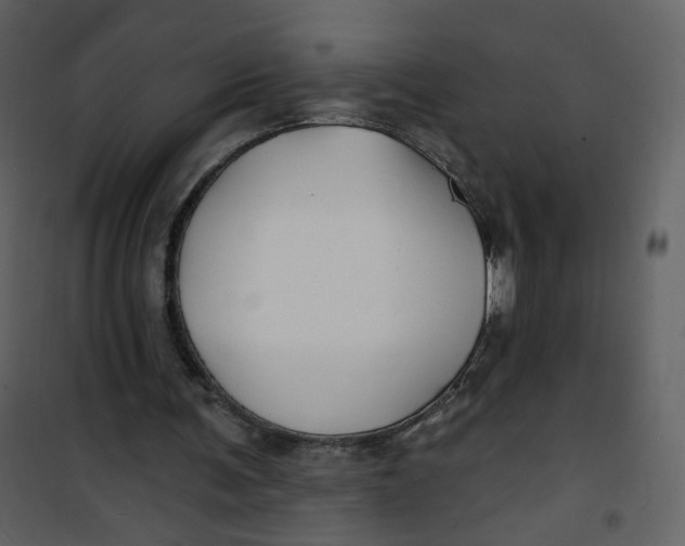 X0000100780291200807171449