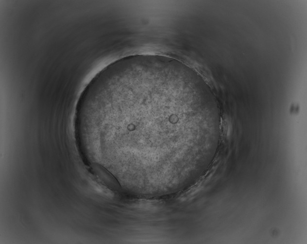 X0000100780292200807171449