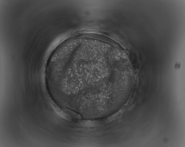 X0000100780293200807171449