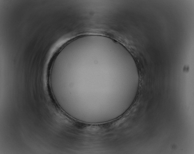 X0000100780294200807171449