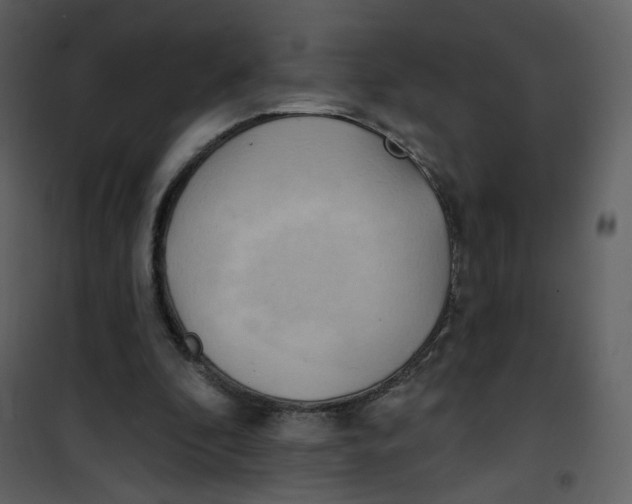 X0000100780296200807171449