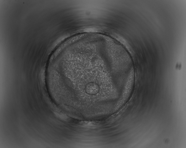 X0000100780297200807171449