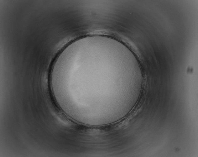 X0000100780298200807171449