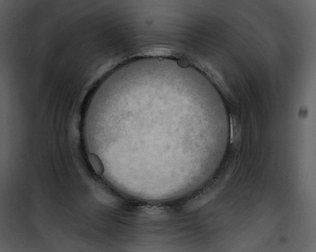 X0000100780300200807171449