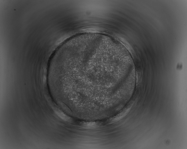 X0000100780301200807171449