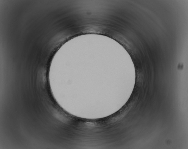 X0000100780302200807171449
