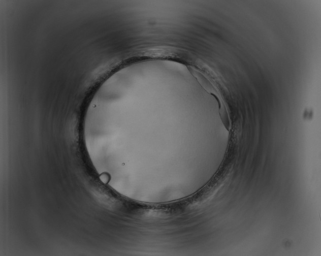 X0000100780303200807171449