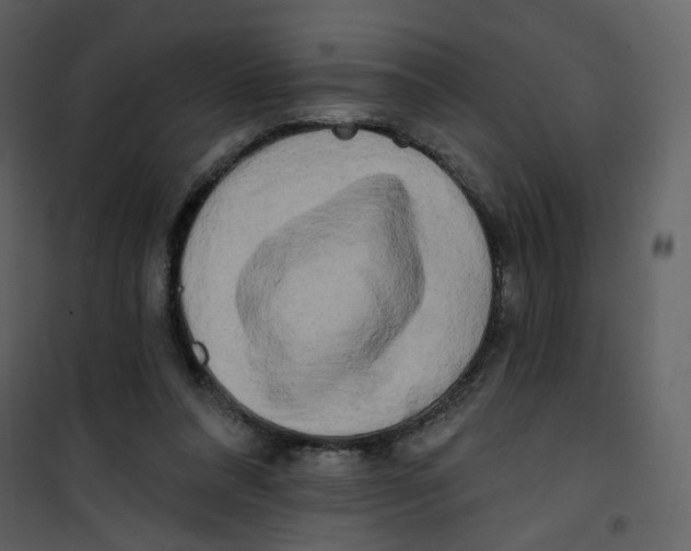 X0000100780304200807171449