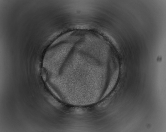 X0000100780305200807171449