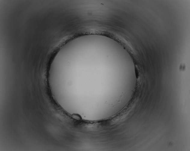 X0000100780306200807171449