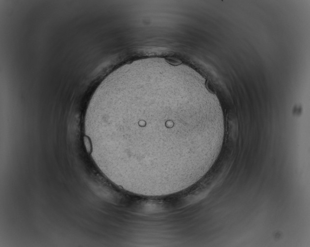 X0000100780308200807171449