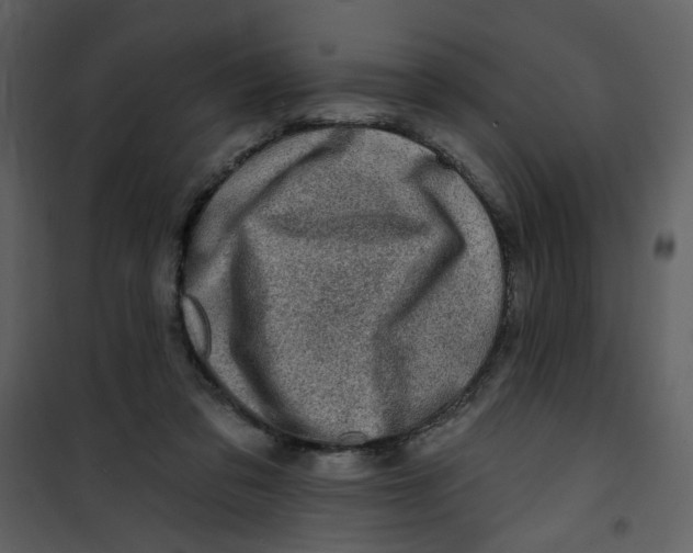 X0000100780309200807171449