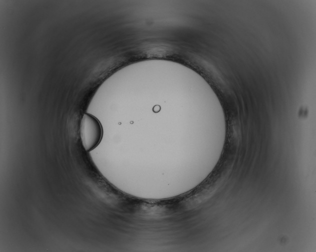 X0000100780311200807171449
