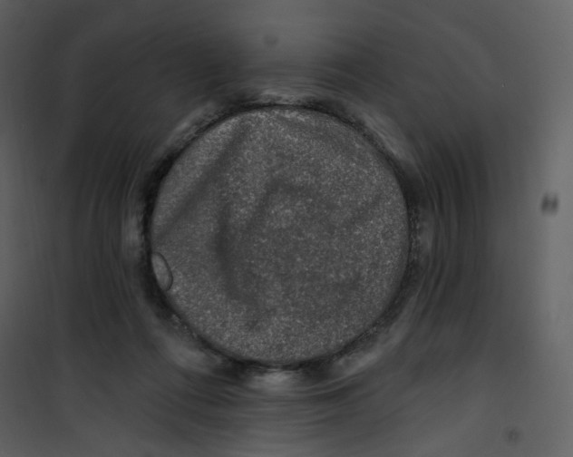 X0000100780312200807171449