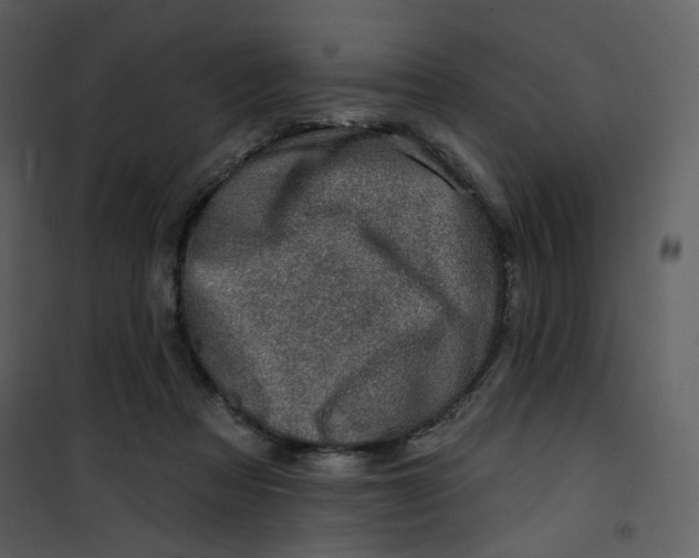 X0000100780313200807171449
