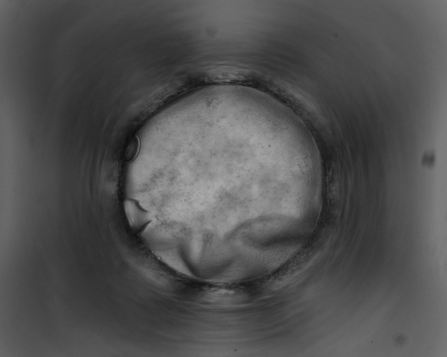 X0000100780315200807171449