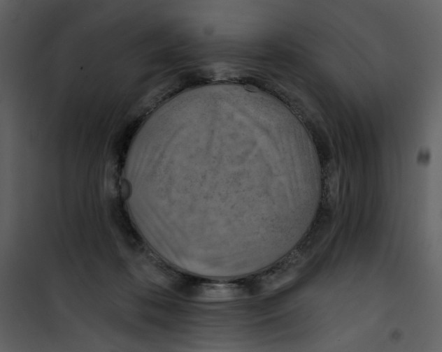 X0000100780316200807171449