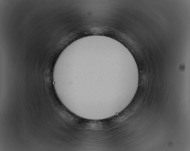X0000100780317200807171449