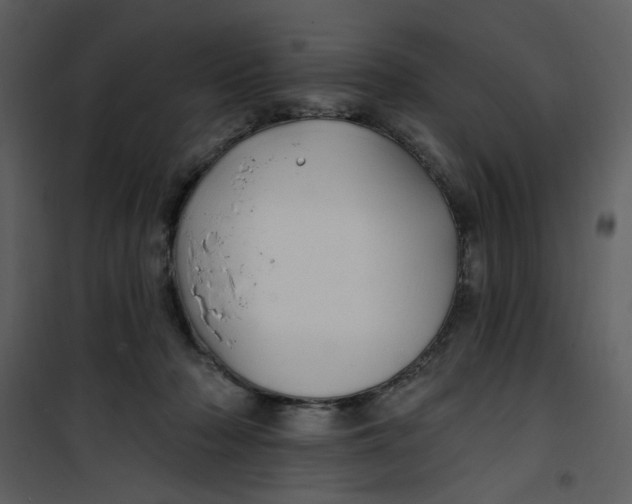 X0000100780318200807171449
