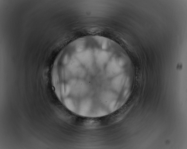 X0000100780319200807171449
