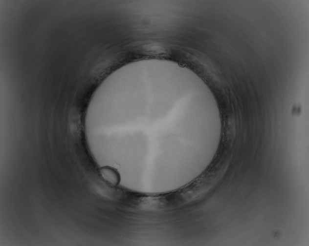 X0000100780320200807171449
