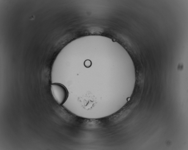 X0000100780321200807171449
