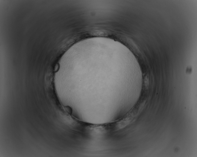 X0000100780322200807171449