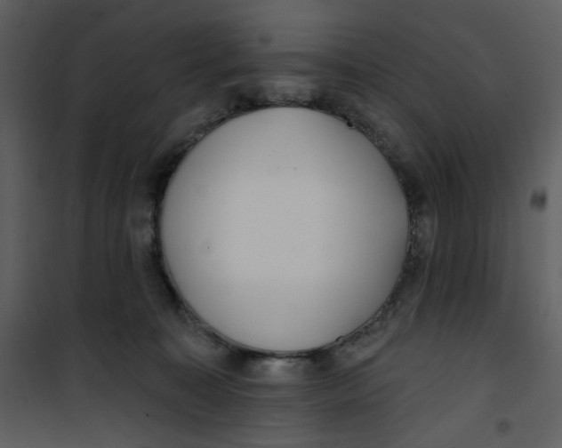 X0000100780323200807171449
